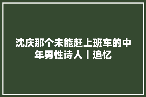 沈庆那个未能赶上班车的中年男性诗人丨追忆