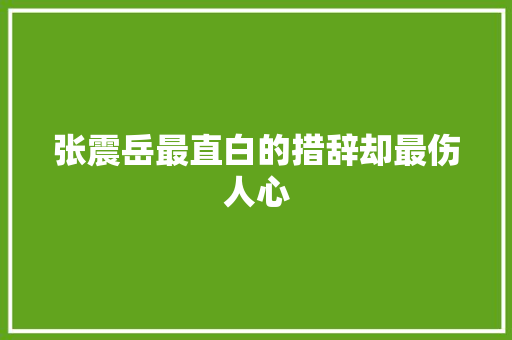 张震岳最直白的措辞却最伤人心