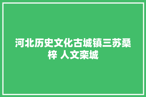 河北历史文化古城镇三苏桑梓 人文栾城