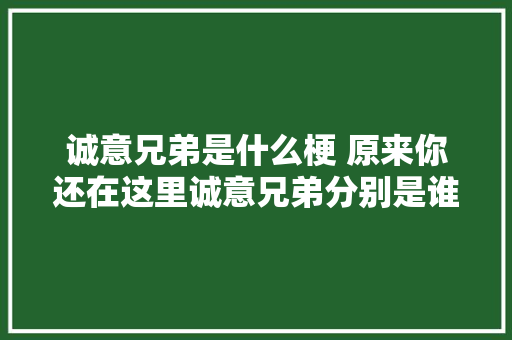诚意兄弟是什么梗 原来你还在这里诚意兄弟分别是谁