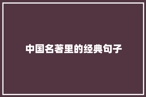 中国名著里的经典句子