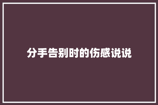 分手告别时的伤感说说