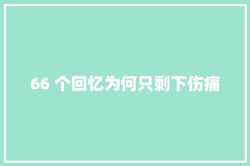 66 个回忆为何只剩下伤痛