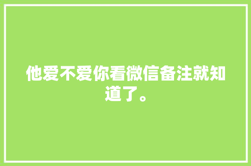他爱不爱你看微信备注就知道了。