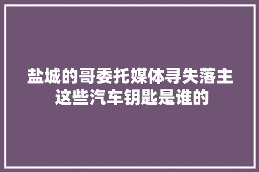 盐城的哥委托媒体寻失落主 这些汽车钥匙是谁的