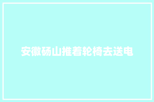 安徽砀山推着轮椅去送电