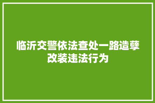 临沂交警依法查处一路造孽改装违法行为