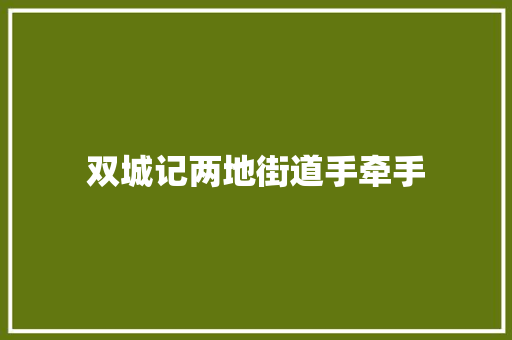 双城记两地街道手牵手 汽车知识