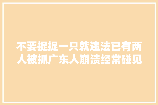 不要捉捉一只就违法已有两人被抓广东人崩溃经常碰见怎么办