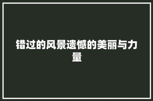 错过的风景遗憾的美丽与力量