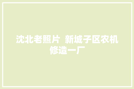 沈北老照片  新城子区农机修造一厂