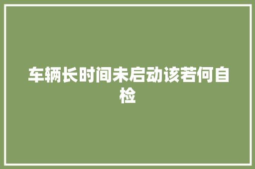 车辆长时间未启动该若何自检