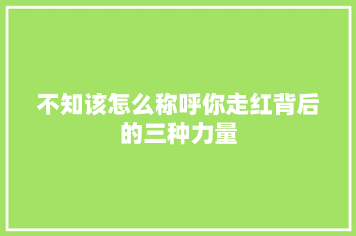 不知该怎么称呼你走红背后的三种力量