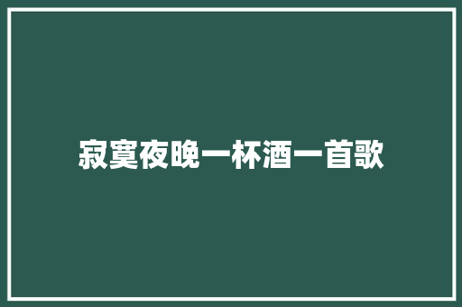 寂寞夜晚一杯酒一首歌