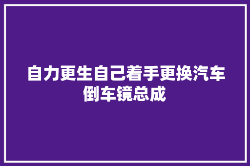 自力更生自己着手更换汽车倒车镜总成