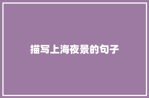 描写上海夜景的句子