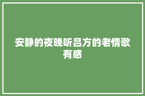 安静的夜晚听吕方的老情歌有感