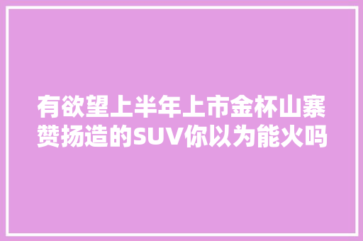 有欲望上半年上市金杯山寨赞扬造的SUV你以为能火吗