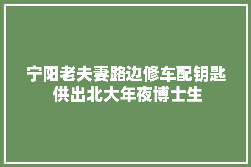 宁阳老夫妻路边修车配钥匙 供出北大年夜博士生