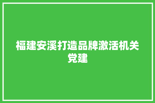 福建安溪打造品牌激活机关党建