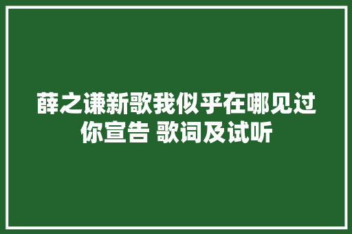 薛之谦新歌我似乎在哪见过你宣告 歌词及试听