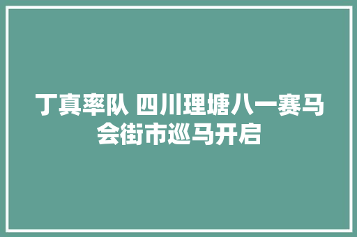 丁真率队 四川理塘八一赛马会街市巡马开启