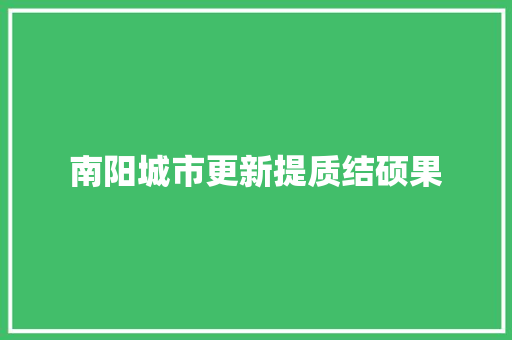 南阳城市更新提质结硕果