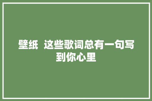 壁纸  这些歌词总有一句写到你心里