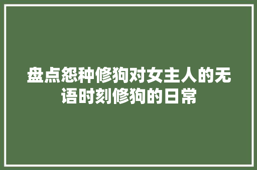 盘点怨种修狗对女主人的无语时刻修狗的日常
