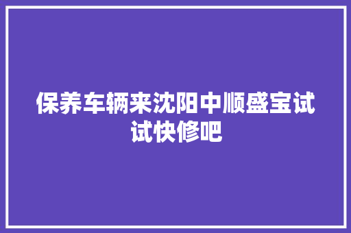 保养车辆来沈阳中顺盛宝试试快修吧