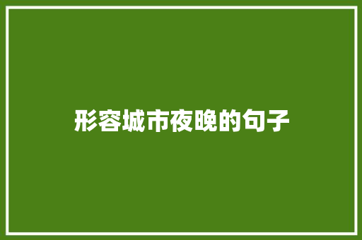 形容城市夜晚的句子