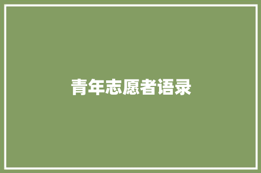 青年志愿者语录