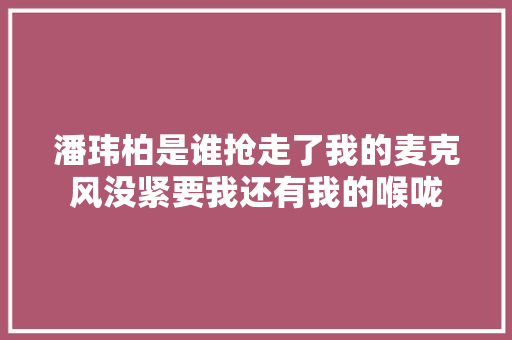 潘玮柏是谁抢走了我的麦克风没紧要我还有我的喉咙