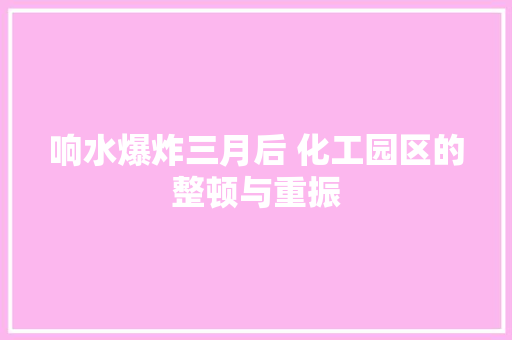 响水爆炸三月后 化工园区的整顿与重振