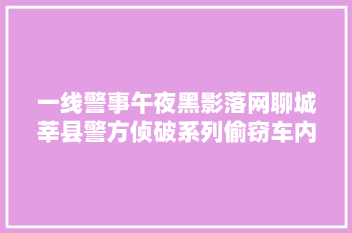 一线警事午夜黑影落网聊城莘县警方侦破系列偷窃车内财物案
