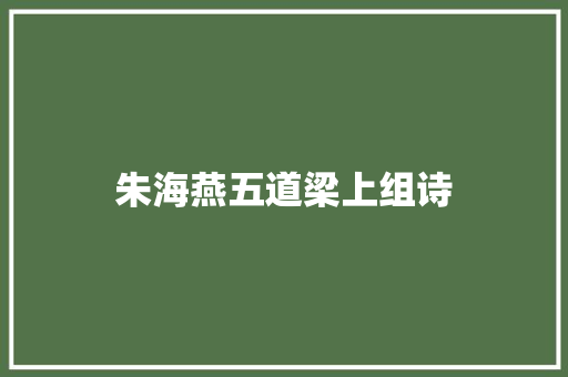 朱海燕五道梁上组诗