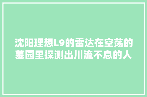 沈阳理想L9的雷达在空荡的墓园里探测出川流不息的人群并非个例