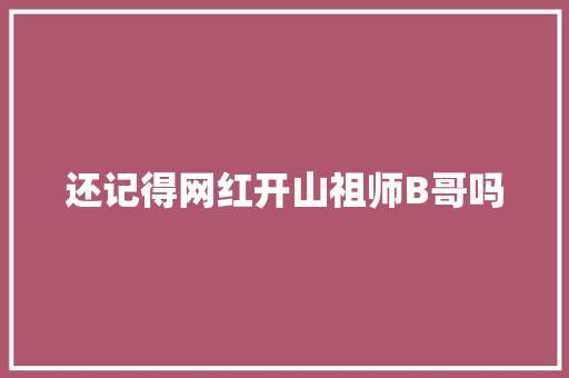 还记得网红开山祖师B哥吗