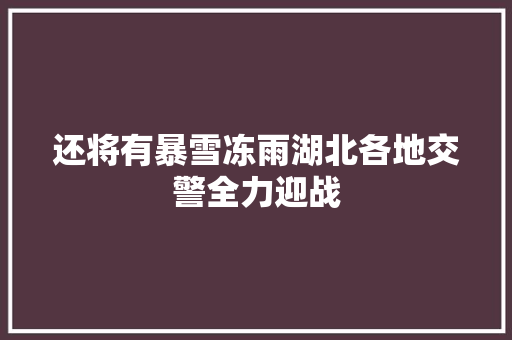 还将有暴雪冻雨湖北各地交警全力迎战