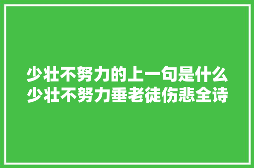 少壮不努力的上一句是什么少壮不努力垂老徒伤悲全诗