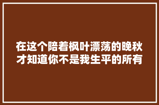 在这个陪着枫叶漂荡的晚秋才知道你不是我生平的所有
