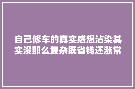 自己修车的真实感想沾染其实没那么复杂既省钱还涨常识 汽车知识