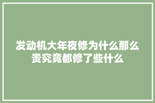 发动机大年夜修为什么那么贵究竟都修了些什么