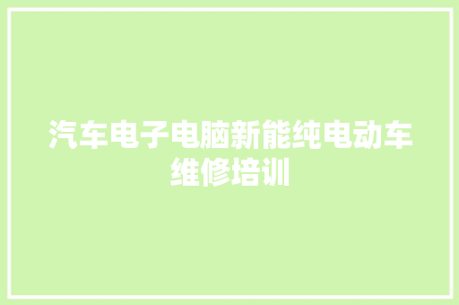 汽车电子电脑新能纯电动车维修培训