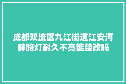 成都双流区九江街道江安河畔路灯耐久不亮能整改吗