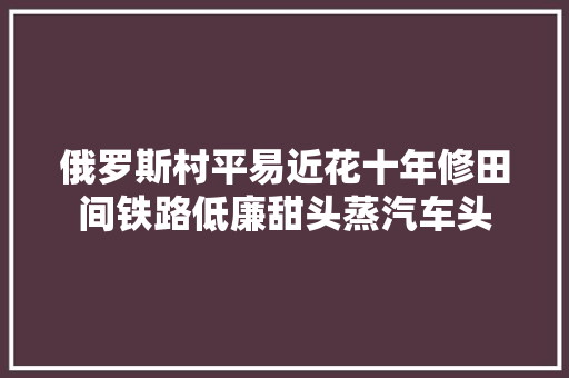 俄罗斯村平易近花十年修田间铁路低廉甜头蒸汽车头