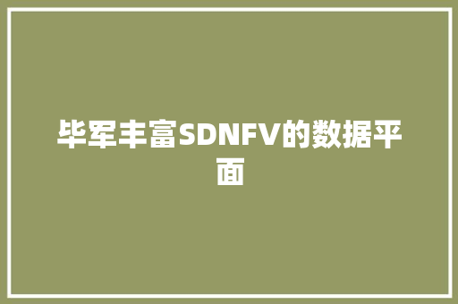 毕军丰富SDNFV的数据平面