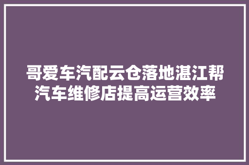 哥爱车汽配云仓落地湛江帮汽车维修店提高运营效率