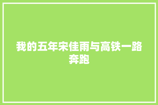 我的五年宋佳雨与高铁一路奔跑