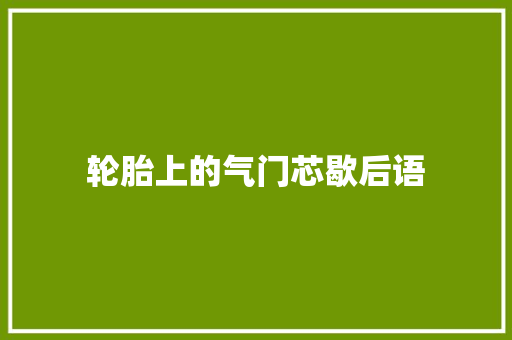轮胎上的气门芯歇后语